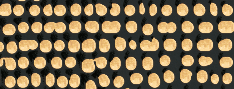 Captura de pantalla 2013-06-25 a las 00.16.52