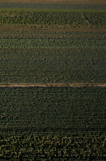 Captura de pantalla 2013-06-28 a las 03.40.51