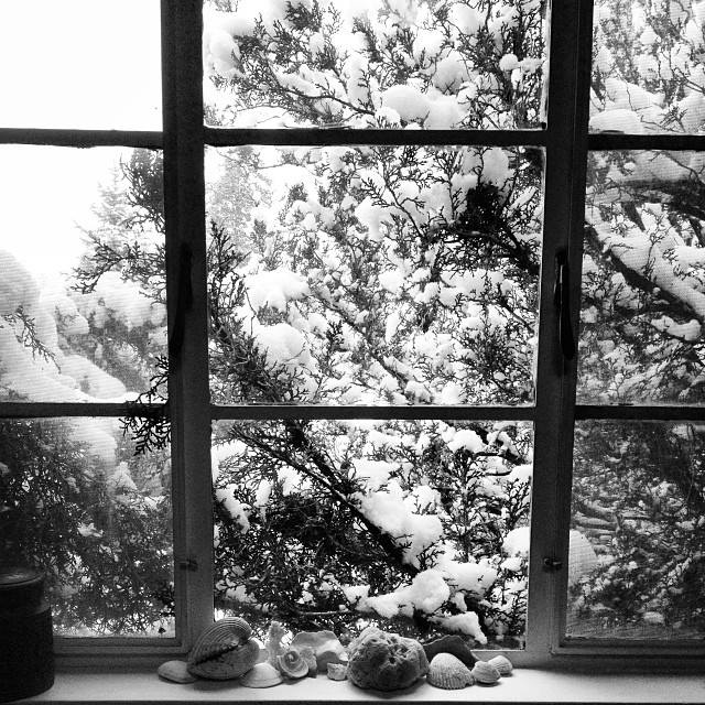 1459780_10151835657857898_1792905245_n