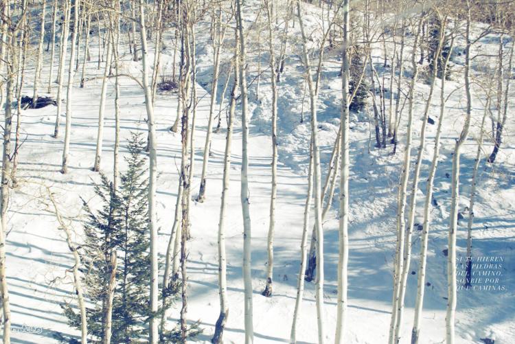 416034_10150471733687898_948379327_o