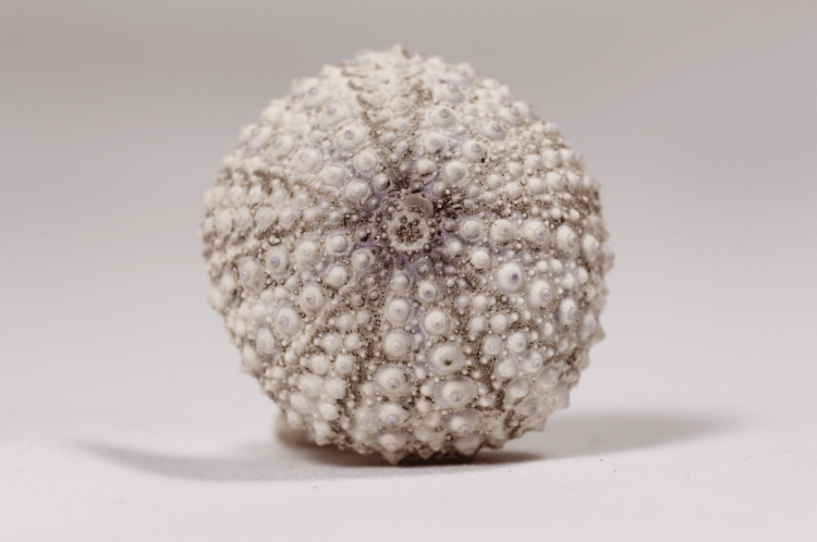 Screen Shot 2014-07-07 at 10.00.20 PM