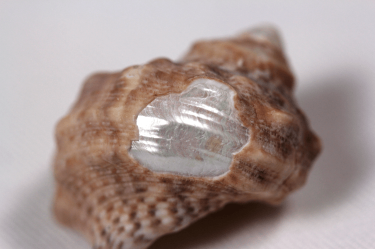 Screen Shot 2014-07-07 at 10.02.14 PM