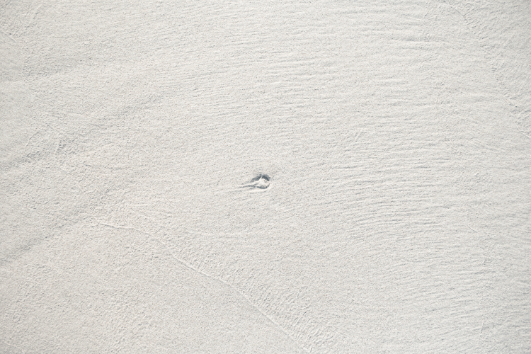 Screen Shot 2014-07-07 at 10.17.57 PM