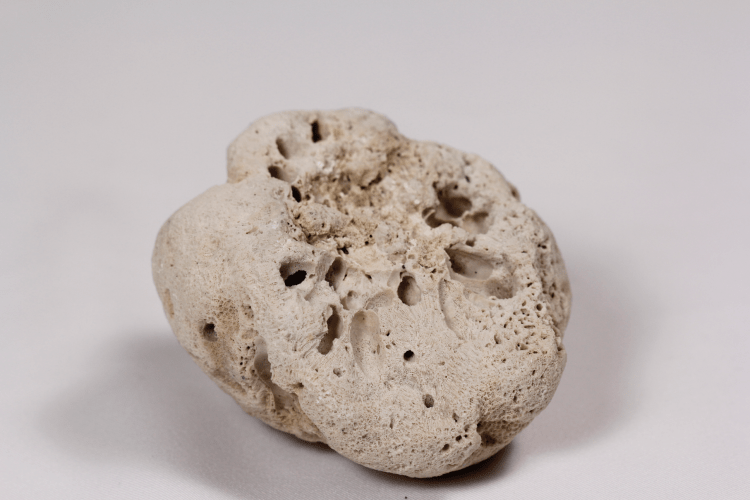 Screen Shot 2014-07-07 at 9.59.08 PM