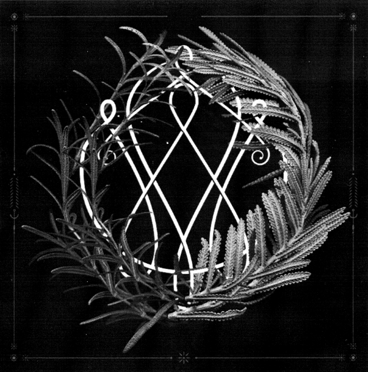 Screen Shot 2015-09-08 at 8.11.09 PM